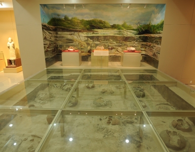 Tất tần tật kinh nghiệm khám phá bảo tàng Côn Đảo