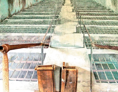 Chuồng cọp Côn Đảo - Tàn tích đau thương giữa địa ngục trần gian