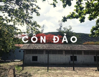 Trải nghiệm tuyệt vời của Côn Đảo khi đến mùa Hoa Phượng