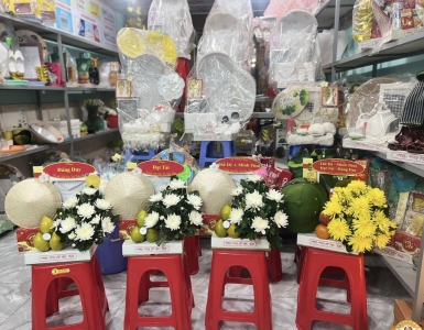 Gợi ý tour Côn Đảo trọn gói uy tín, lịch trình hợp lý