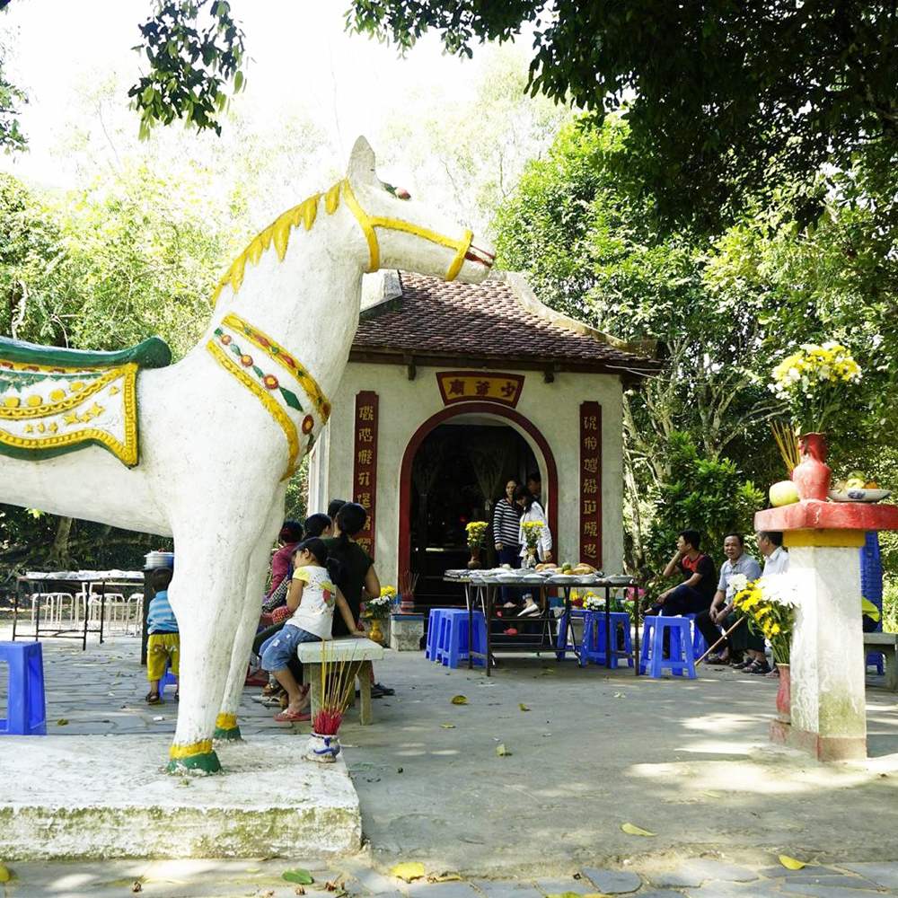 Cậu Cải