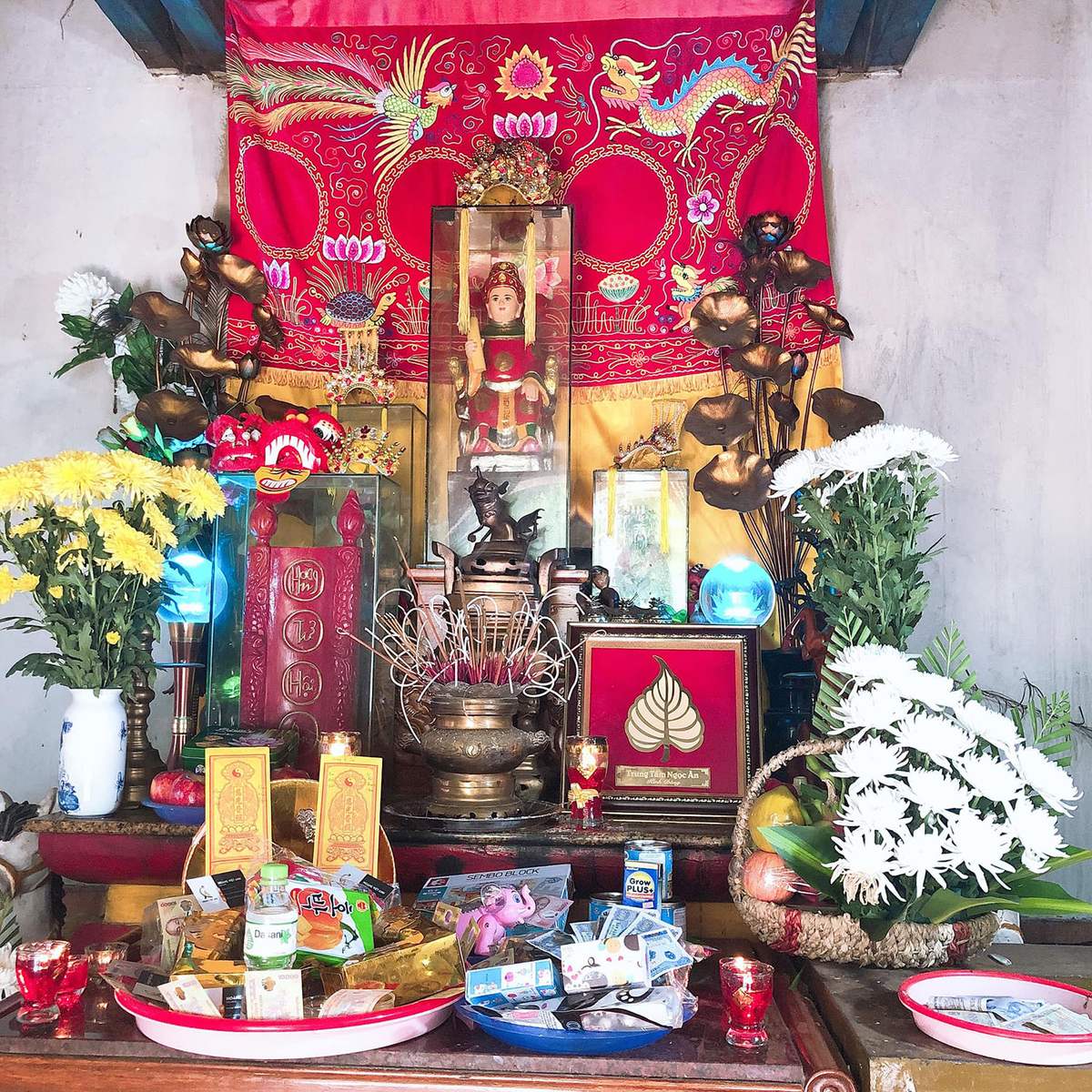 Cậu Cải